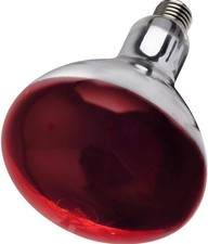 250W Infra Red Heat Bulb Ruby