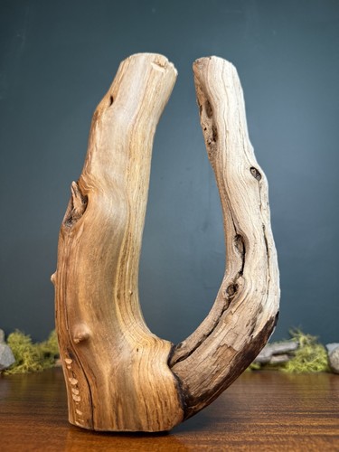 Manzanita driftwood - 13”,