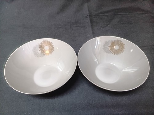 Set rosenthal germany - 2,