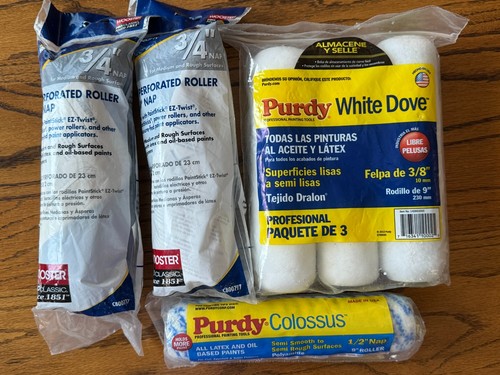 Purdy white dove colossus - purdy,