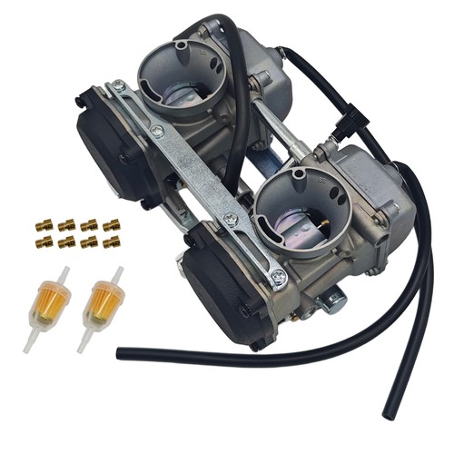 Carburetor oil filter - carburetor,