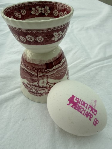 Copeland spode tower - spode's,
