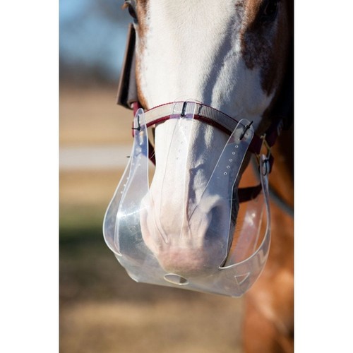 Thinline flexible filly - flexible,