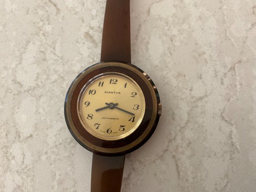 Vintage 1960s ladies diantus - vintage,