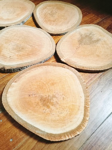 21cm natural tree trunk - , wood