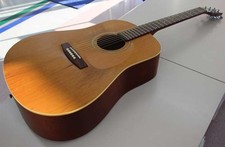 SEAGULL Acoustic Guitar