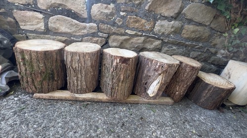 Tree stumps rustic stools - rustic,