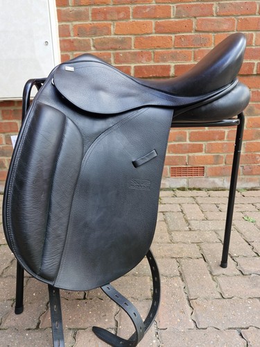 Black gfs monarch dressage