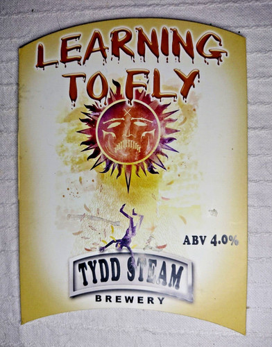 Learning fly tydd steam - fly,