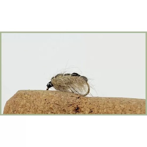 Hare ear semtex bugs trout - hare,