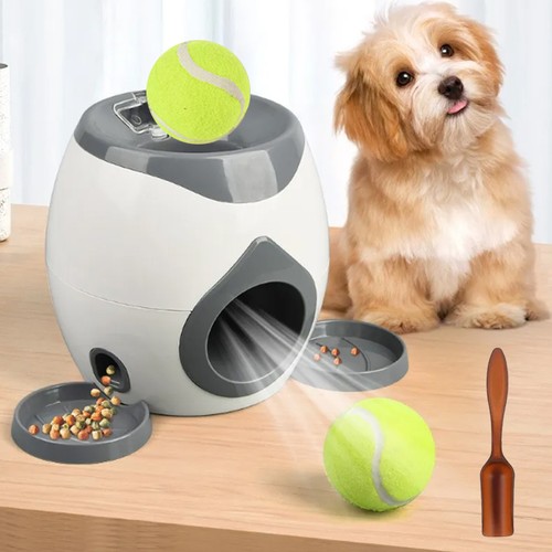 Pack dog automatic ball - 1,