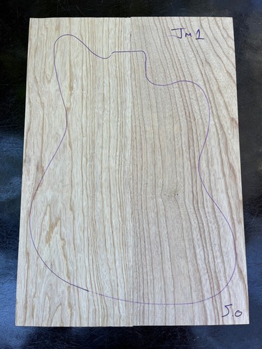 Swamp ash two - ash, guitar
