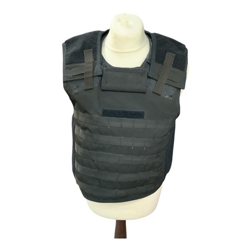 Hawk cooneen body - hawk, cover