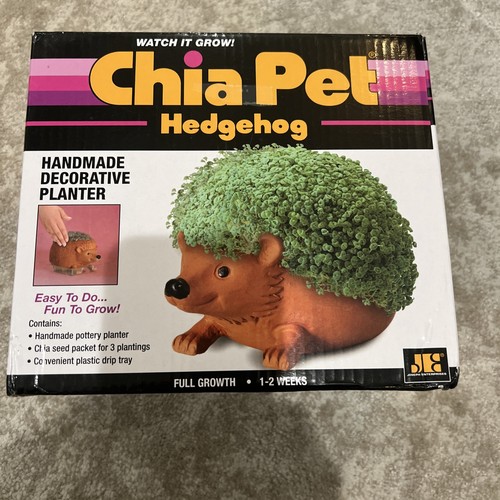 Chia pet hedgehog decorative - hedgehog,