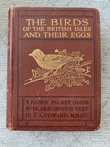 The birds british isles - birds,