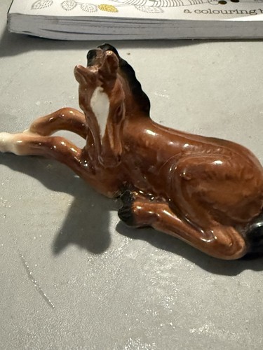 Beautiful foal - beautiful,