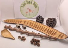 Natural enclosure decor. Buriti, Acacia, lotus pods, acorns, casuarina & more