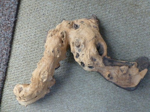 Aquarium terrarium bog wood - aquarium/terrarium,