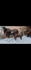 Vintage Melba Ware Large ceramic horse and foal large excellent condition 