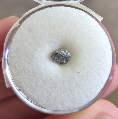 Cranfield meteorite 0 6g - cranfield, 0.6g
