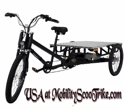 Electric flatbed cargo trike