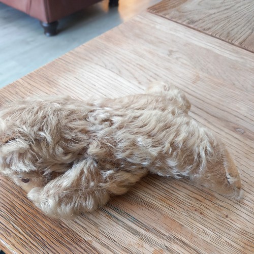 Lying down bear teddy - , 8