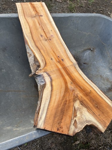 Yew plank wood - plank,yew, wood,yew