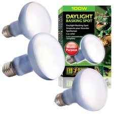 Exo Terra Daylight Basking Spot Bulb All Sizes Vivarium Terrarium Heat Light