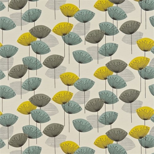 Sanderson dandelion clocks - dandelion,