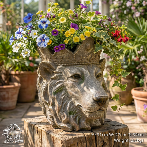 Large crowned lion king - crowned,