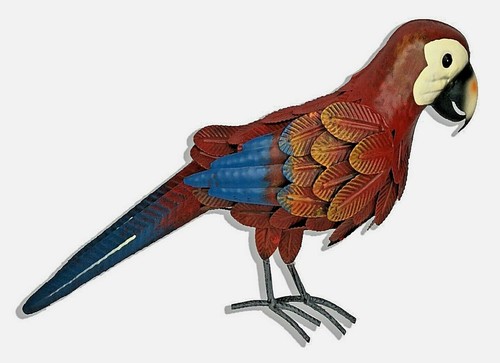 Red macaw parrot - red,