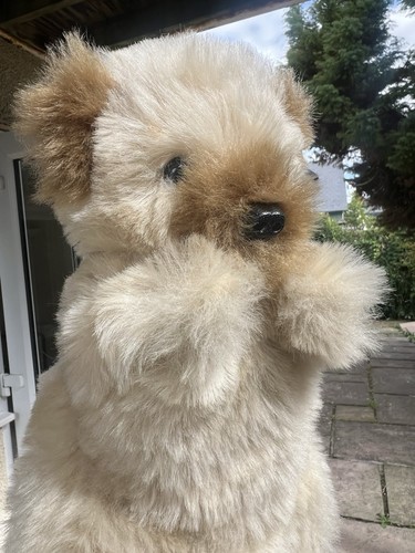 Super cute teddy bear - super,