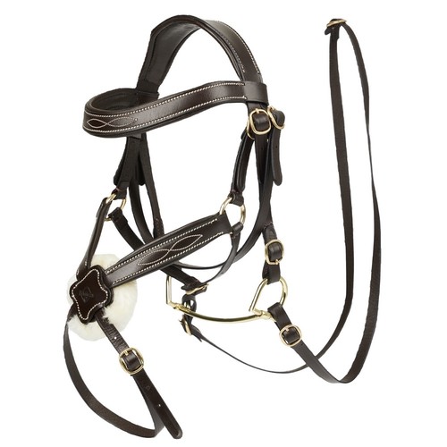 Lemieux hobby horse - hobby,