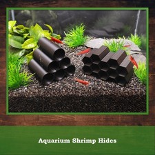 Aquarium Shrimp Hide Fry