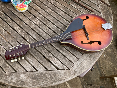 Vintage jim deacon - mandolin, 8