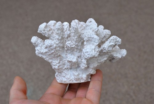 Artificial coral ornament - coral,