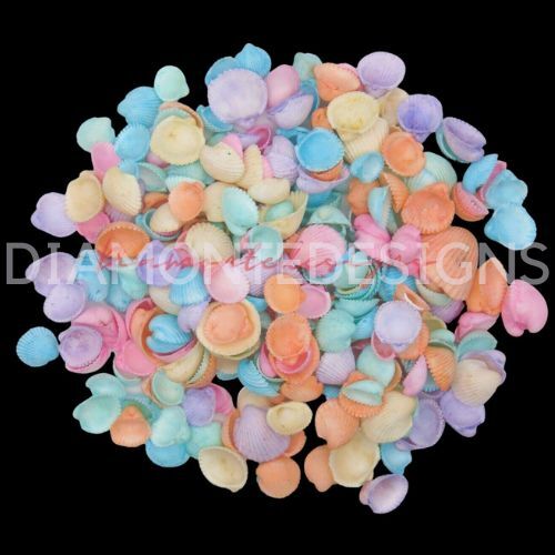 Pastel dyed cockle seashells - pastel,