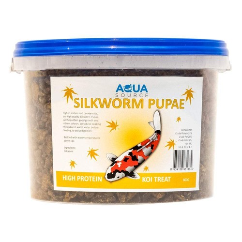 Aqua source silkworm - silkworm, pupae