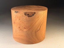 Very Large Hollow Form Burr