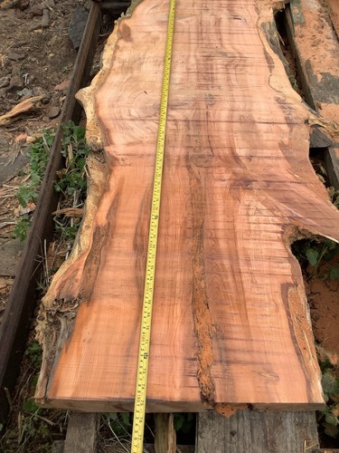 English yew boards - yew, ,wood