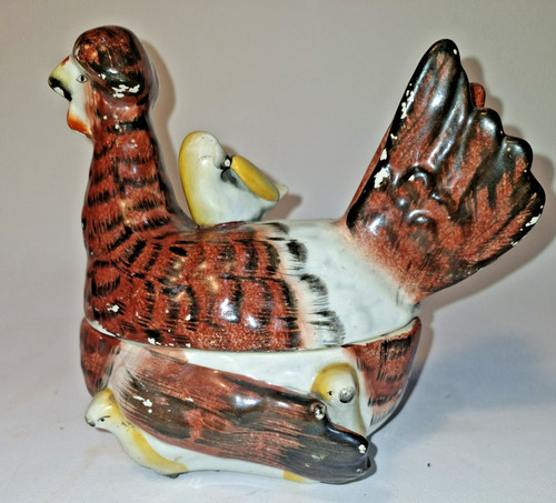 Antique silkie hen chicks - antique, on