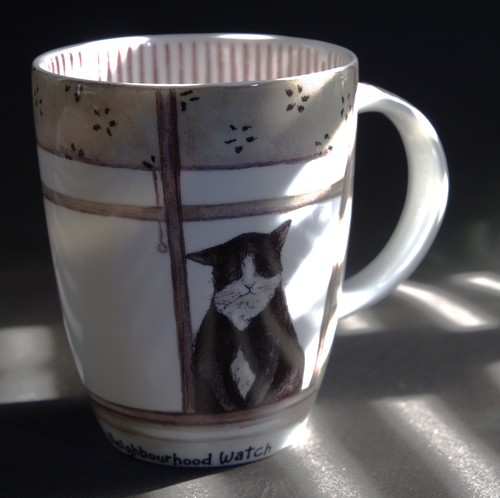 Fine bone china mug - china, hudson
