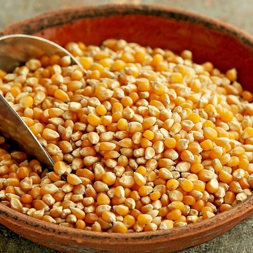 1kg popcorn pop - 1kg, corn