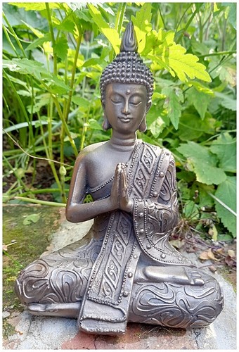 Mystic thai buddha lotus - buddha,