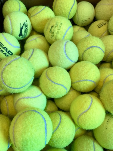 Used tennis balls - tennis,