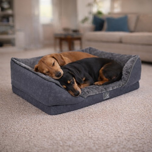 Orthopedic pet sofa bed - sofa,