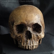 Human Skull Replica, handmade