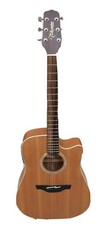Takamine EG510SC