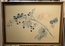 Young Song Thrushes By Mads