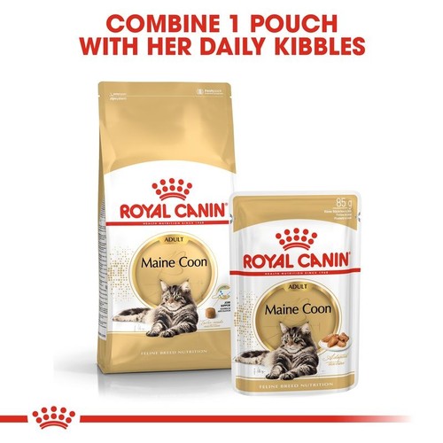 Royal canin maine coon adult - coon,